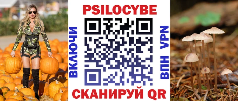 Псилоцибиновые грибы Psilocybine cubensis кракен Фролово